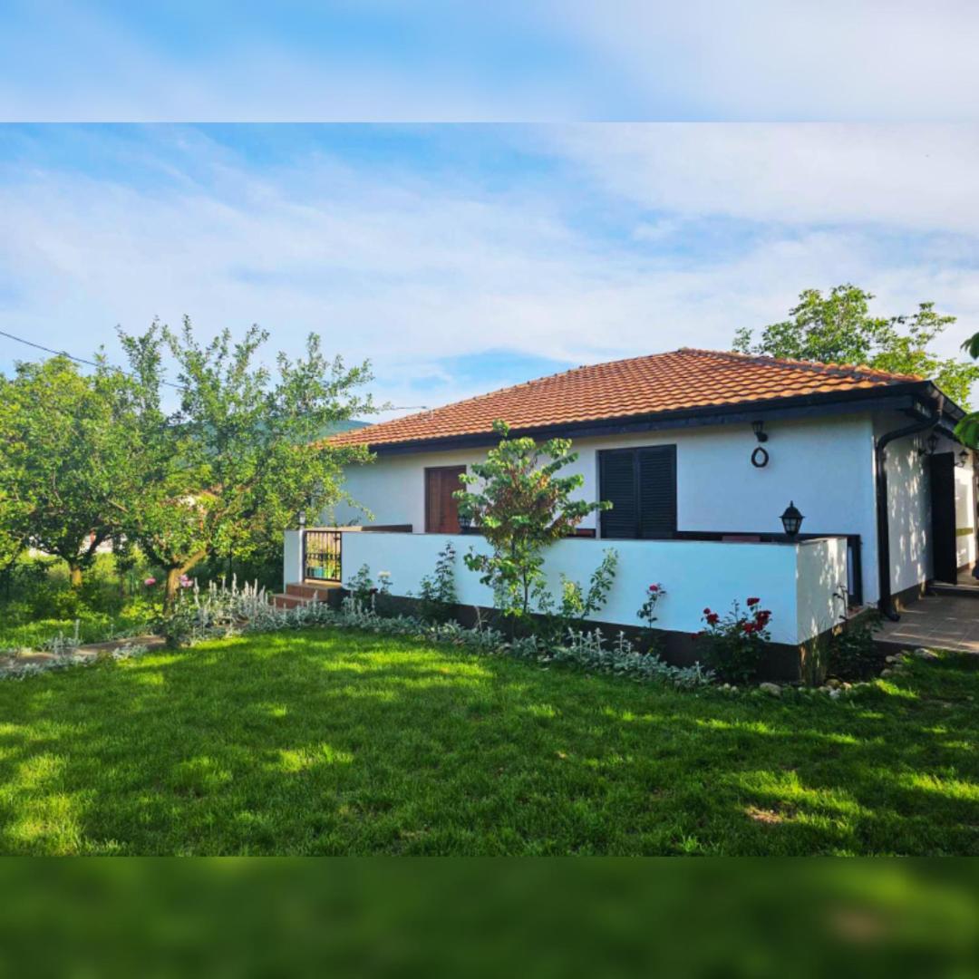 House Milovanovic ソコバニャ エクステリア 写真