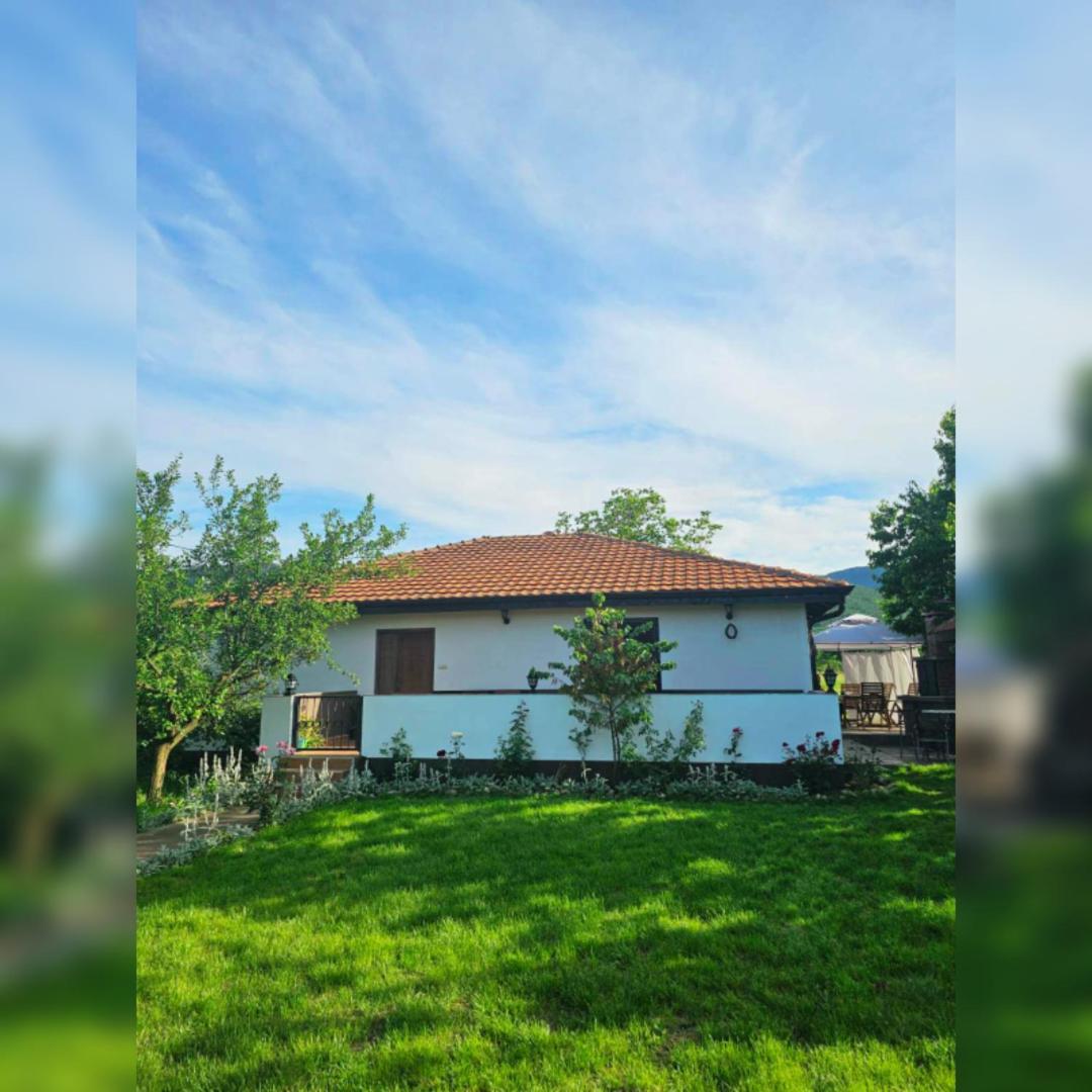 House Milovanovic ソコバニャ エクステリア 写真
